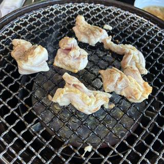 ぢどり(種鶏肉)