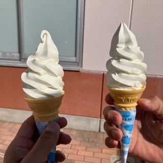 長門牧場ソフトクリーム(東部湯の丸サービスエリア（上り）スナックコーナー )