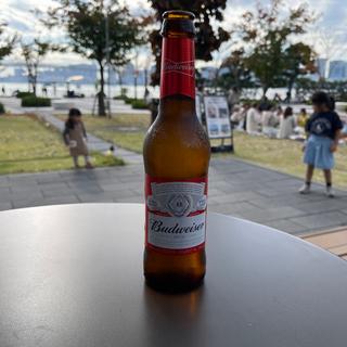 瓶ビール(オーガーデン 晴海)