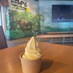 パインソフトクリーム