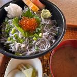 釜揚げしらす丼(魚料理 大正 本店)