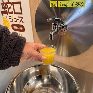 湘南ゴールド 生搾りジュース