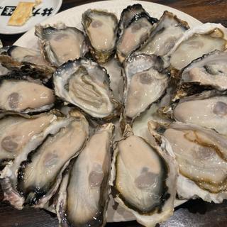 生ガキ20個+etc(#カキもビールも生がスキ。ロハル津田沼店)