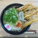 細麺五本ごぼう天うどん(二玉分)