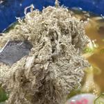 きのこかしわうどん(資さんうどん 都城川東店)