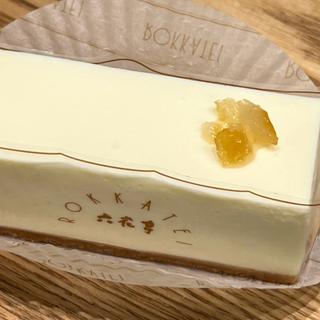 レアチーズケーキ(六花亭 帯広本店)