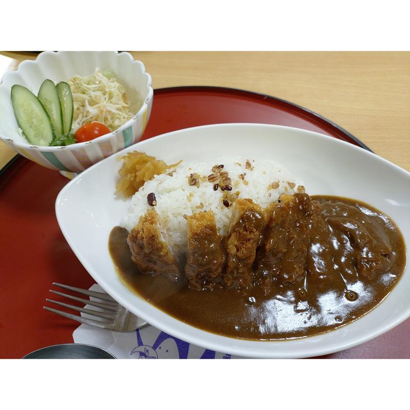 カツカレー(星と森のロマントピア)