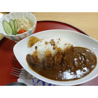 カツカレー(星と森のロマントピア)