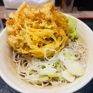 かき揚げそば（冷）