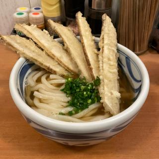 ごぼう天うどん(麺匠 釜善（KAMAYOSHI）)