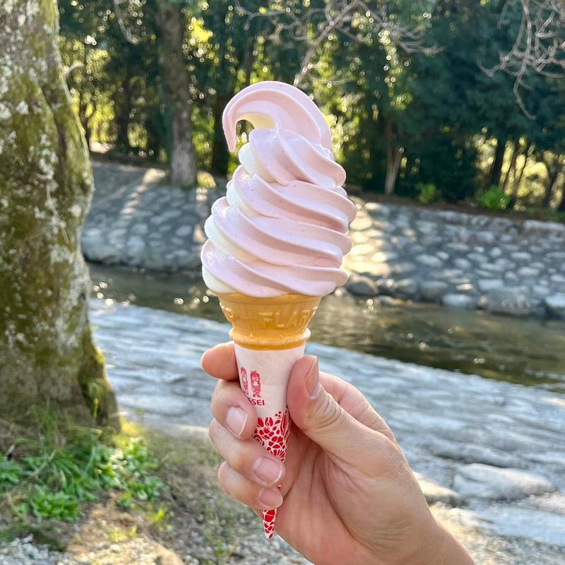 ソフトクリーム（ミックス）(NAKANOSHIMA COFFEE STAND)