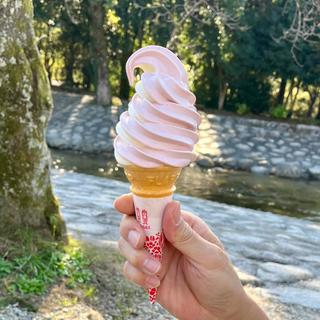 ソフトクリーム（ミックス）(NAKANOSHIMA COFFEE STAND)