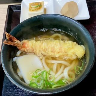 おまかせにぎりセット1半 天ぷらうどん変更