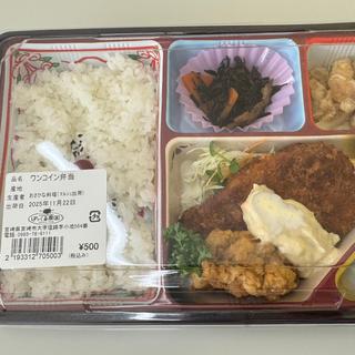 ワンコイン弁当(ぽっくる農園 おさかな料理)