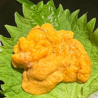 生ウニ(炉端とおでん 呼炉凪来 帯広駅前店)