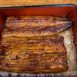 特上うな重(ぽんぽこ亭)