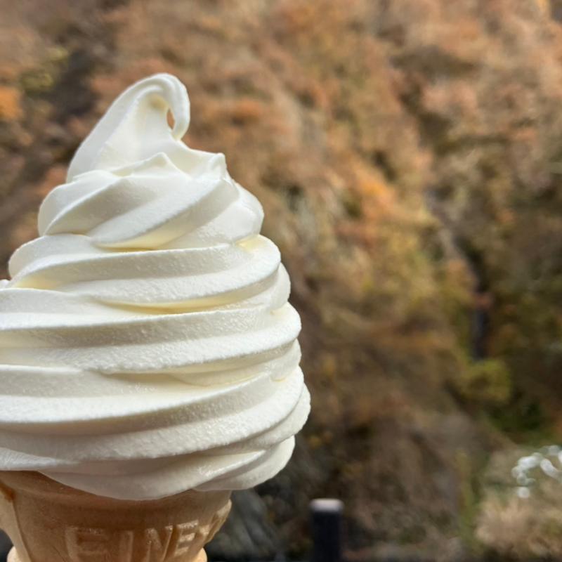 濃厚ソフトクリーム(清津館 （キヨツカン）)