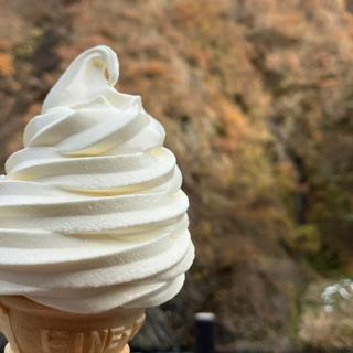 濃厚ソフトクリーム