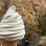 濃厚ソフトクリーム