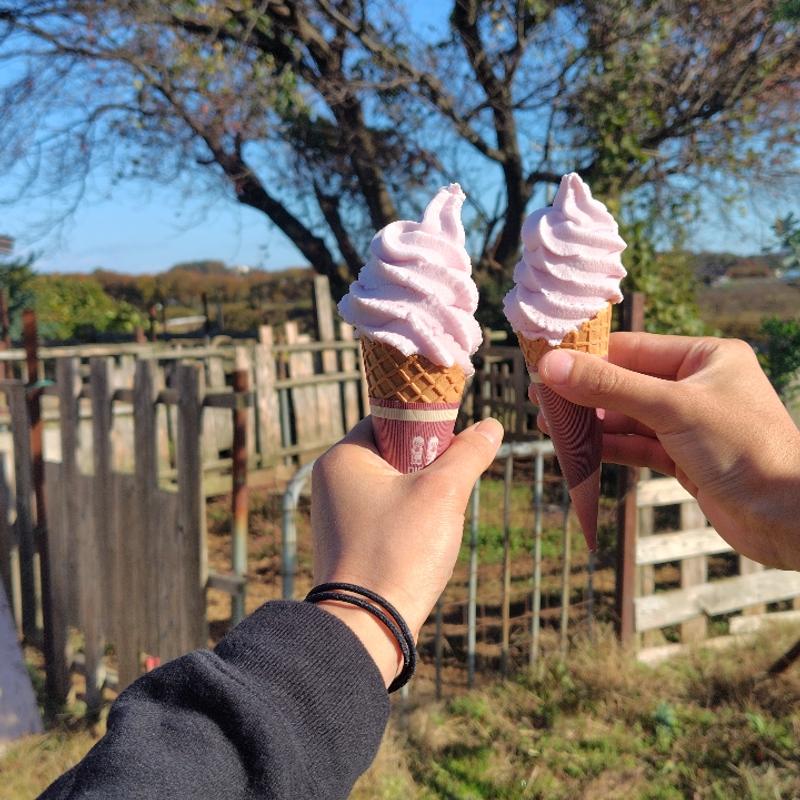 ブルーベリーソフト(瑞香園)