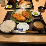 ひれロース盛合せご飯