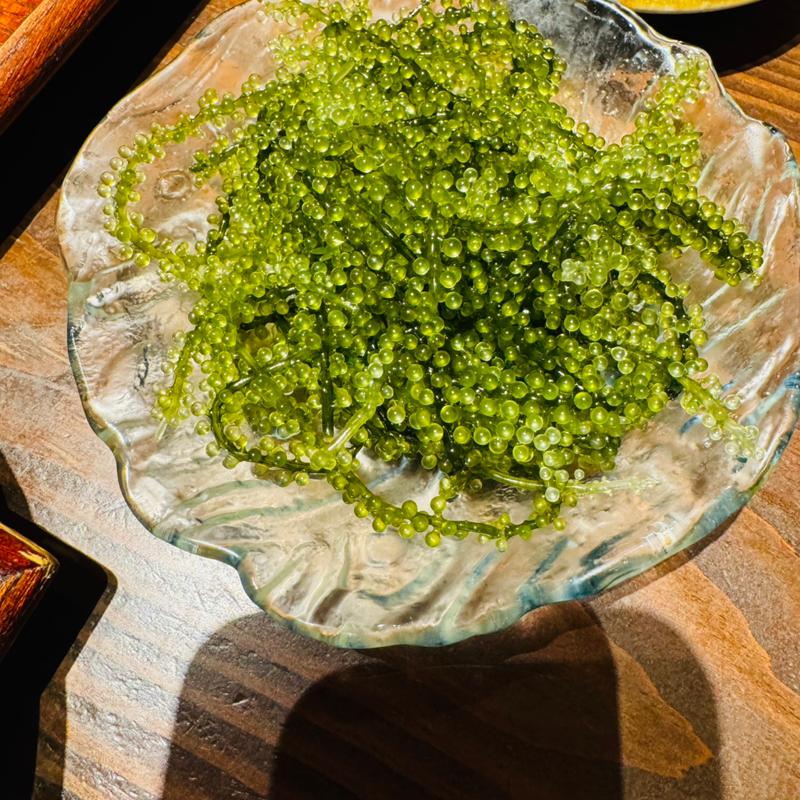 海ぶどう(海人酒房 イクスピアリ店)