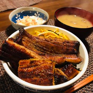 鰻蒲焼き お歳暮