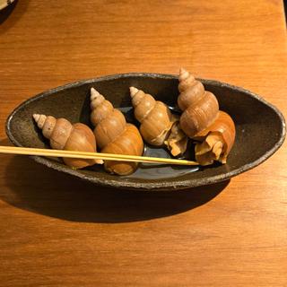 ばい貝旨煮(吟チロリ)