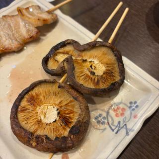 しいたけ(とりとん)