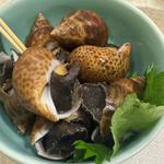 白子産茹でばい貝(とりさだ)