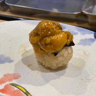 雲丹（レギュラー満タンコース）(江戸前 SS(スシステーション))