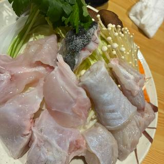 てっちり(高槻活ふぐ専門店 二代目 ふぐ義)