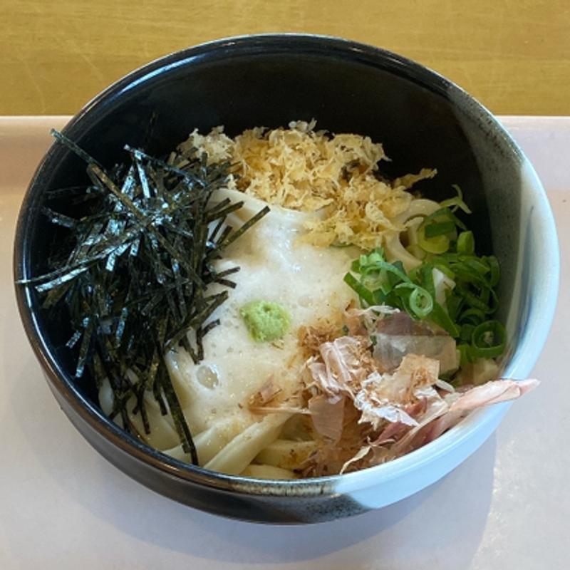 とろろうどん（冷）(釜揚げうどん　白粉屋 （しらこなや）)