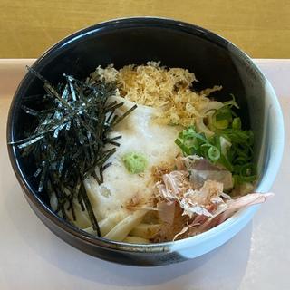 とろろうどん(冷)(釜揚げうどん 白粉屋 (しらこなや))