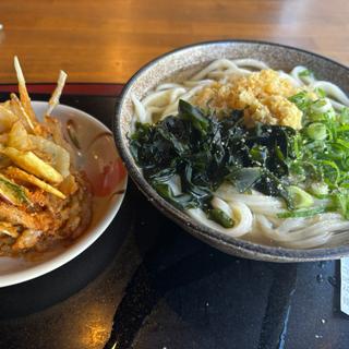 かけうどん(中)+天ぷら(かき揚げ)(こがね製麺所 東京工房森下店)