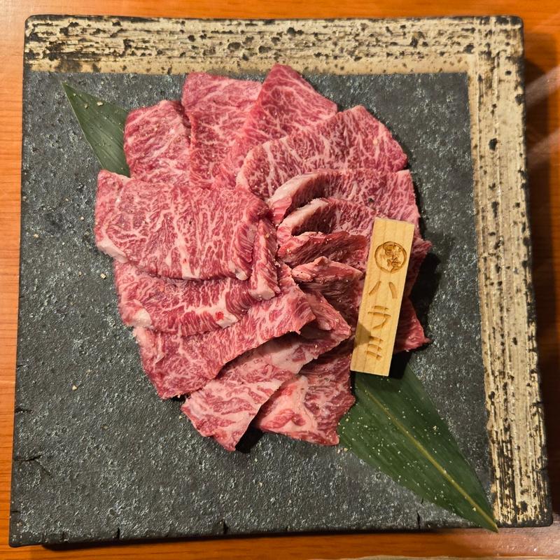 極上ハラミ(飛騨牛一頭家 馬喰一代 岐阜神田 （ヒダギュウイットウヤ　バクロイチダイ　ギフカンダ）)