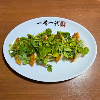 パクチー餃子(餃子酒場 一世一代 本店)
