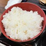 朝いわし定食 ご飯大盛(しんぱち食堂 川崎銀柳街店)