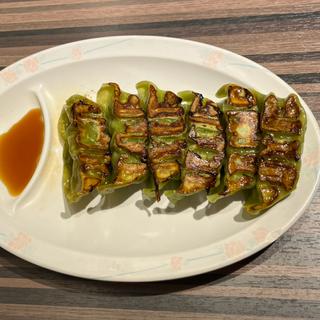 仙台あおば餃子(6コ)