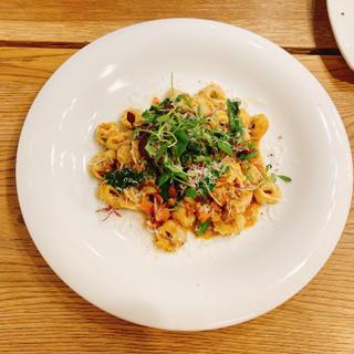 鴨挽肉の白ワイン煮込みソース、チーズ入りパスタトルテリーニ(シレーナ （Sirena）)