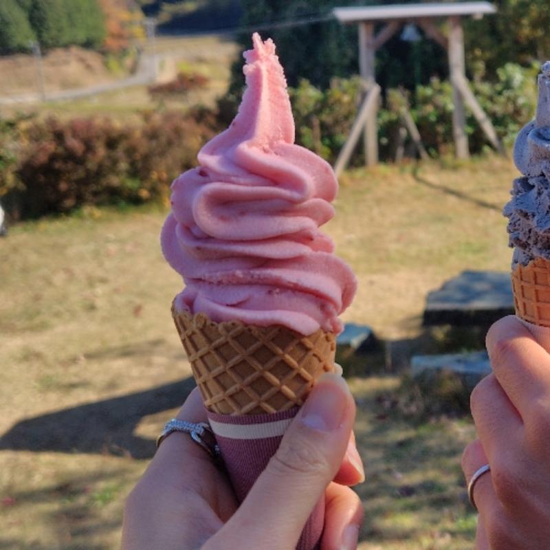 ストロベリーソフト(瑞香園)