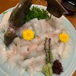 活き平目の姿造り&活き車海老と 旬の天麩羅と各種鍋物の祝福コース！