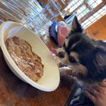 ワンちゃん用パティ(Moose Hills Burger)