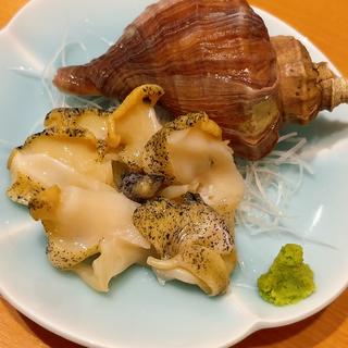 活　ツブ刺し(寿司・料理・地酒 はらこ （はらこ）)