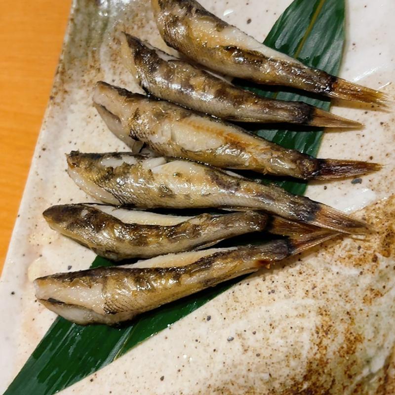 メヒカリ　一夜干し(寿司・料理・地酒 はらこ （はらこ）)