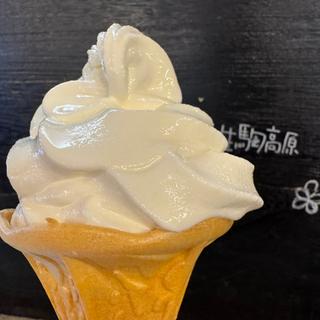 生駒高原ソフトクリーム