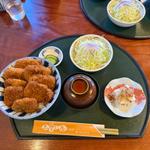 メガ盛りソースかつ丼(志多美屋本店 （したみやほんてん）)