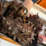 伊豆下田産　カマさざえ　特大