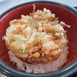 かき揚げ丼(西熱海ゴルフコース レストラン )