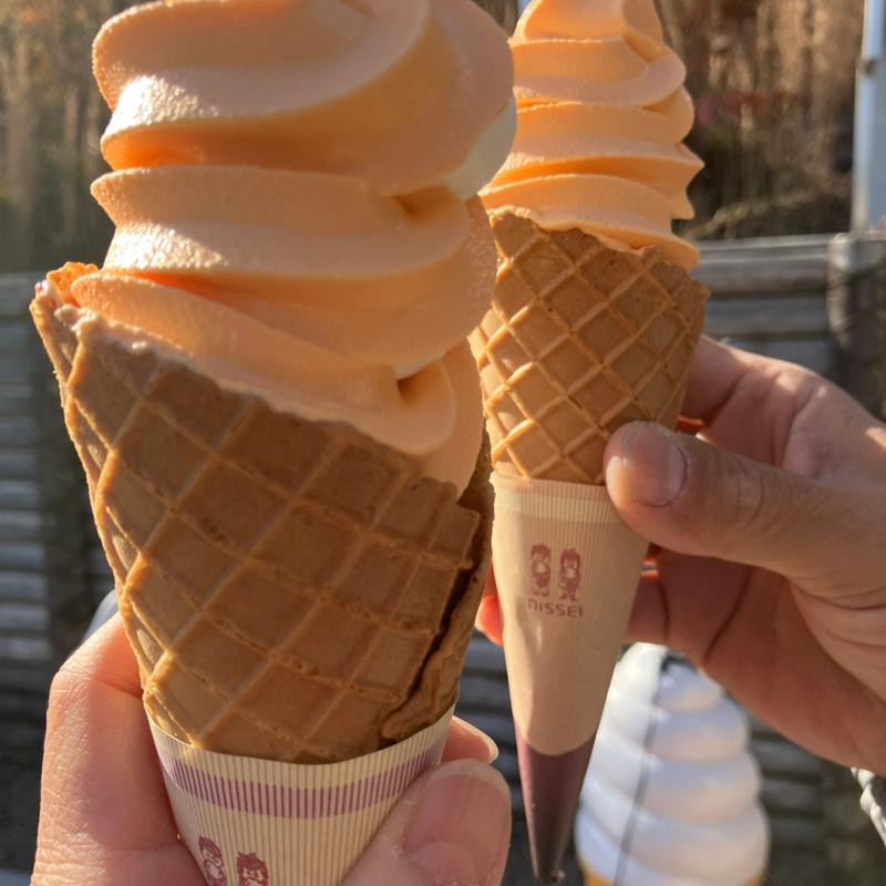 北海道ミルクメロンミックス(和紙の里 ひがしちちぶ)